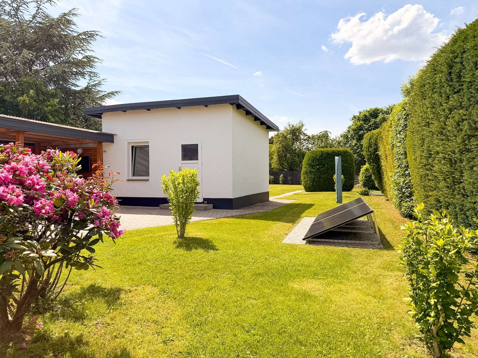 White single-story house in a sunny yard with a pink flowering shrub in the foreground and solar panels on the ground nearby.