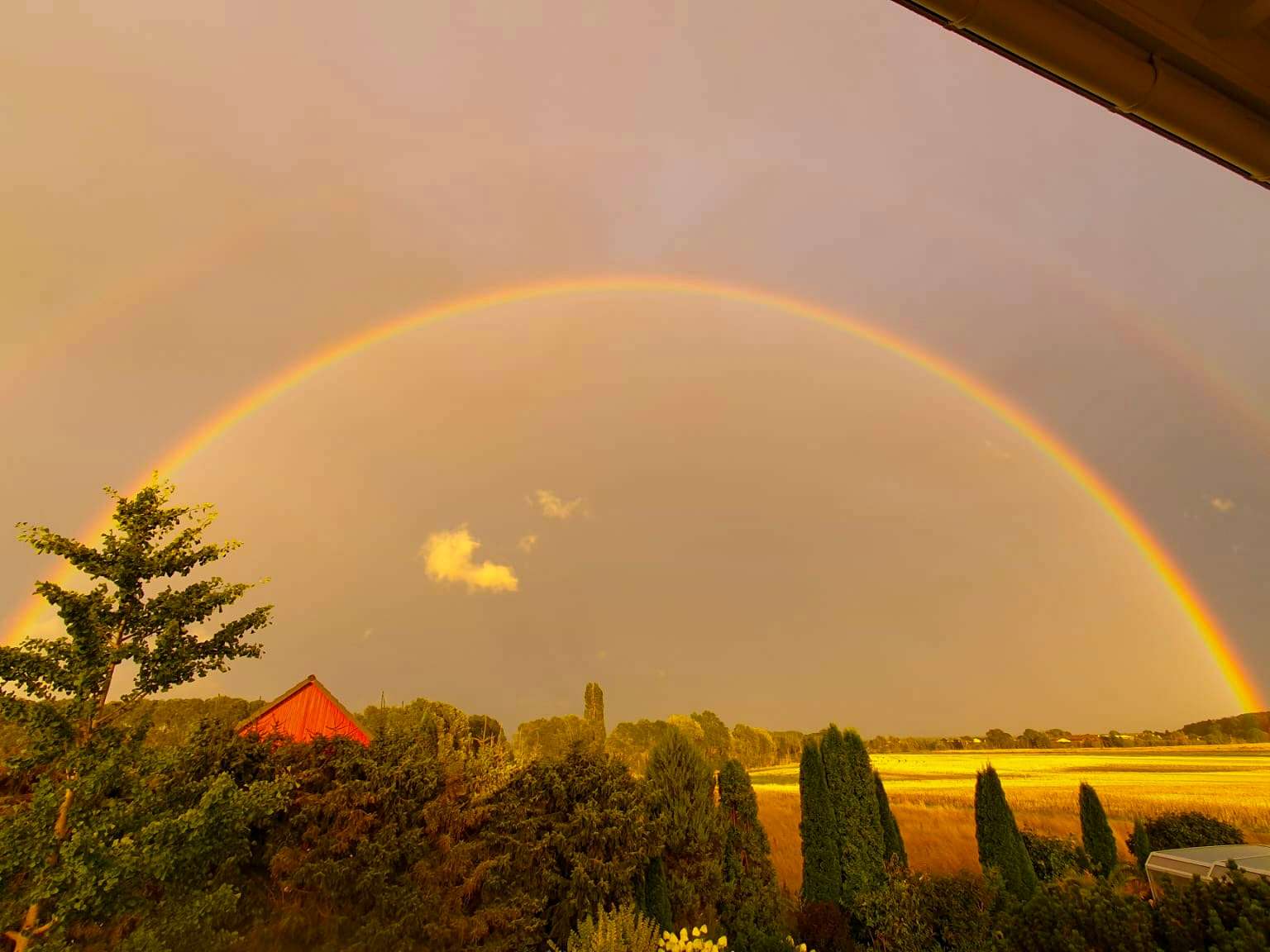 Tolle Atmosphäre