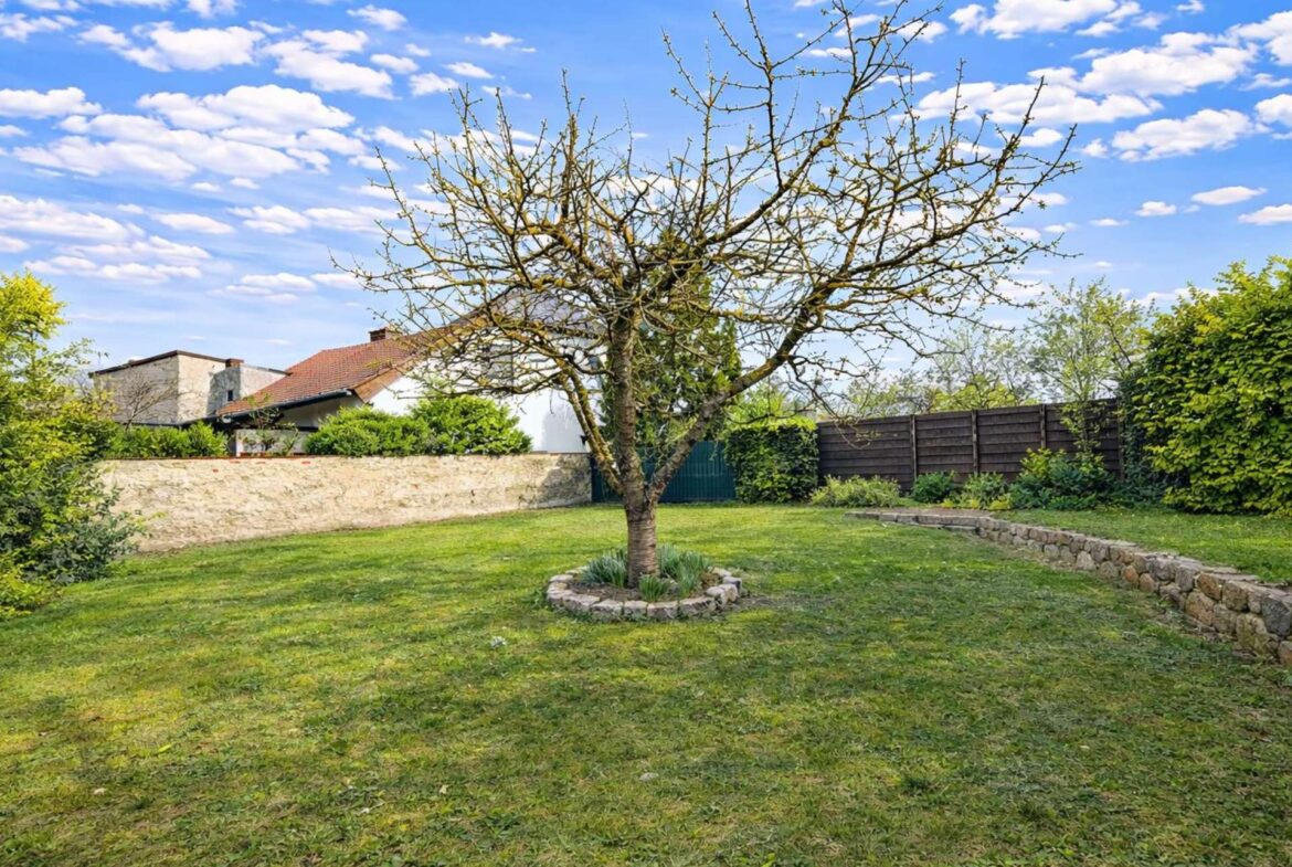 Leafless tree in a circular stone planter in a green yard with a stone wall, wooden fence, and blue sky with clouds in the background.