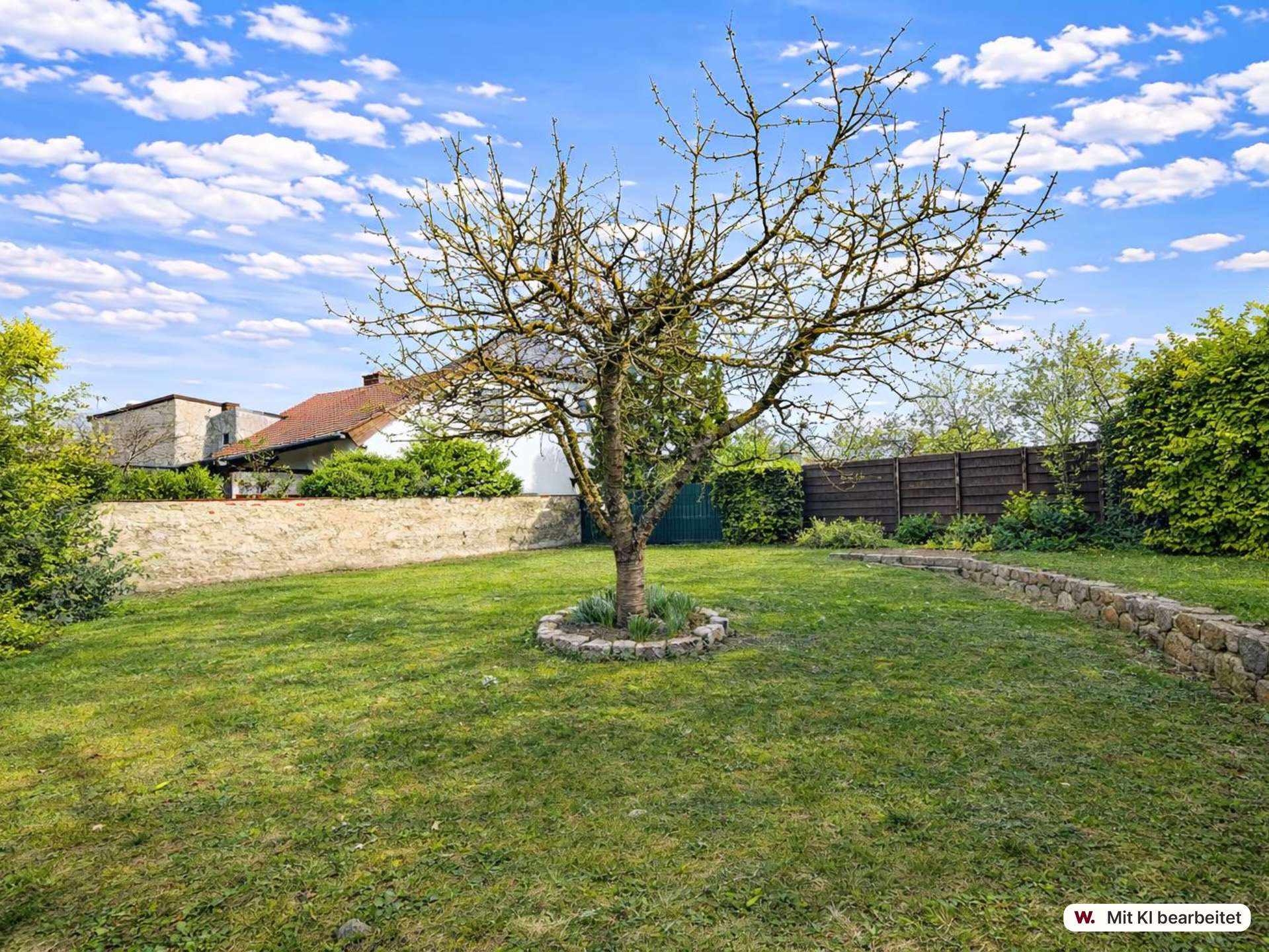 Leafless tree in a circular stone planter in a green yard with a stone wall, wooden fence, and blue sky with clouds in the background.