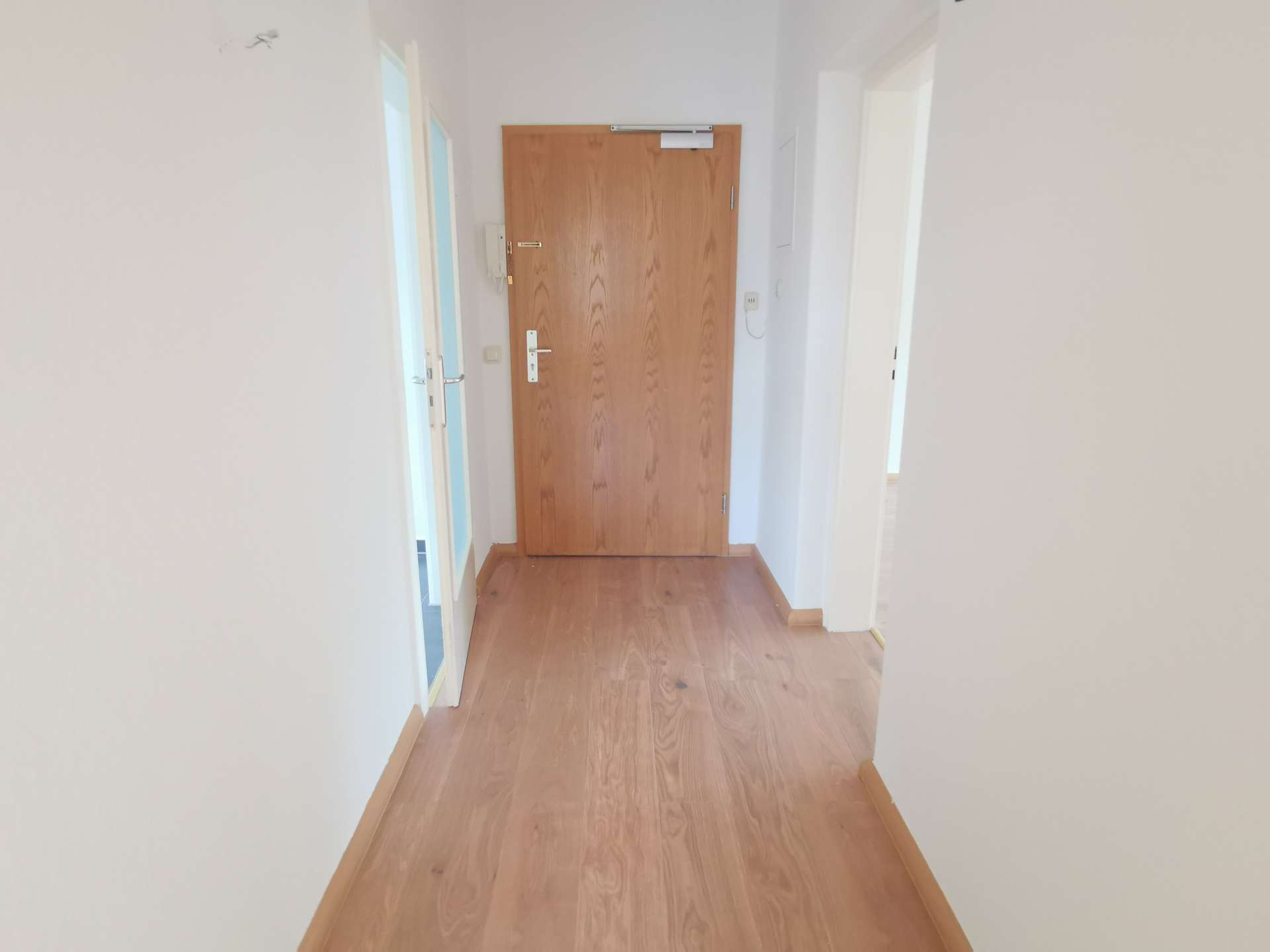 Narrow hallway with light walls, wooden floor, and a closed wooden door at the end.