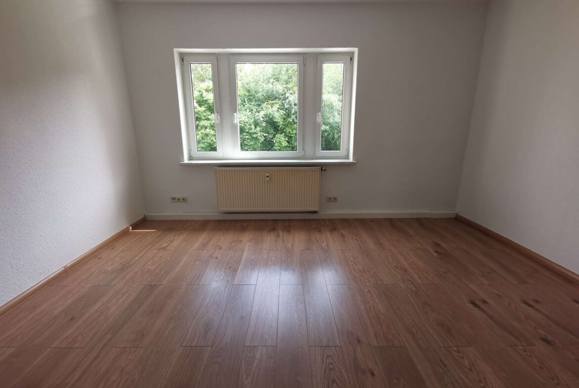 Bare room with white walls, a central window and radiator beneath, and wood-look flooring.
