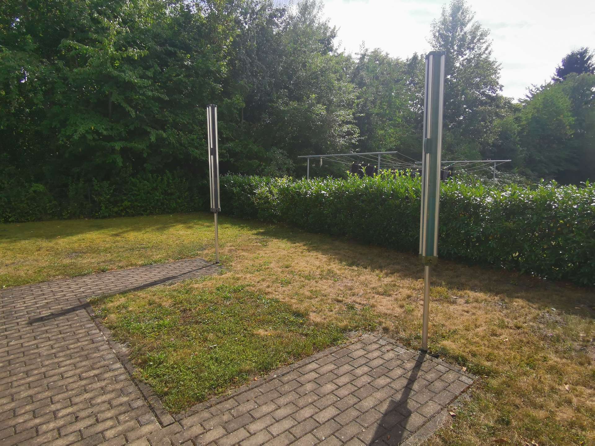 A suburban yard with a rotary clothesline behind a green hedge and two tall metal posts, under sunny sky.