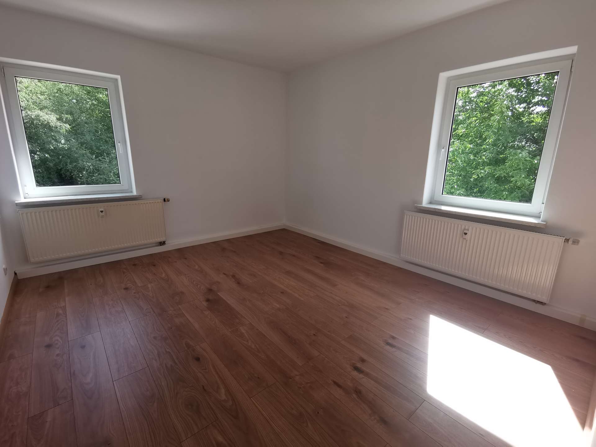 Empty room with two large windows, white walls, and wood-look flooring; radiators under each window and a view of green trees outside.