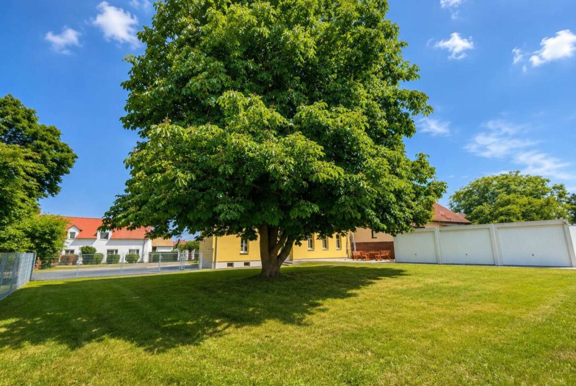 Herrlicher Garten