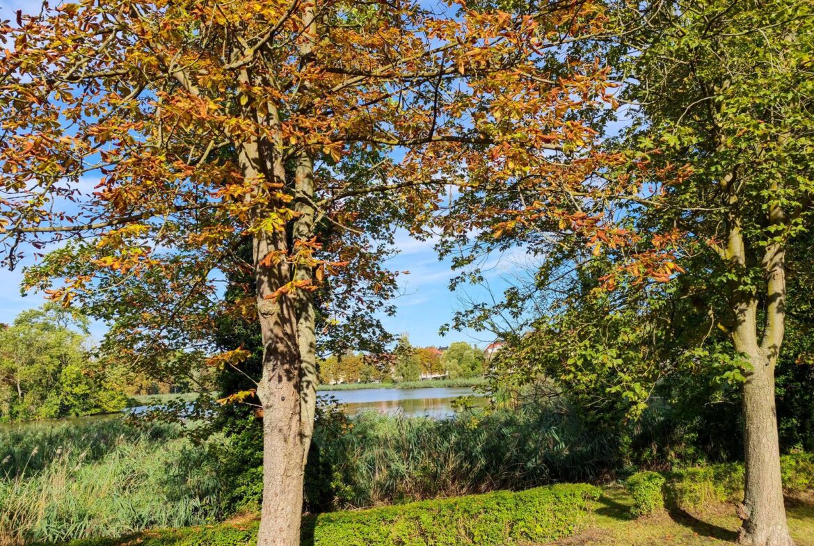Natur genießen nebenan