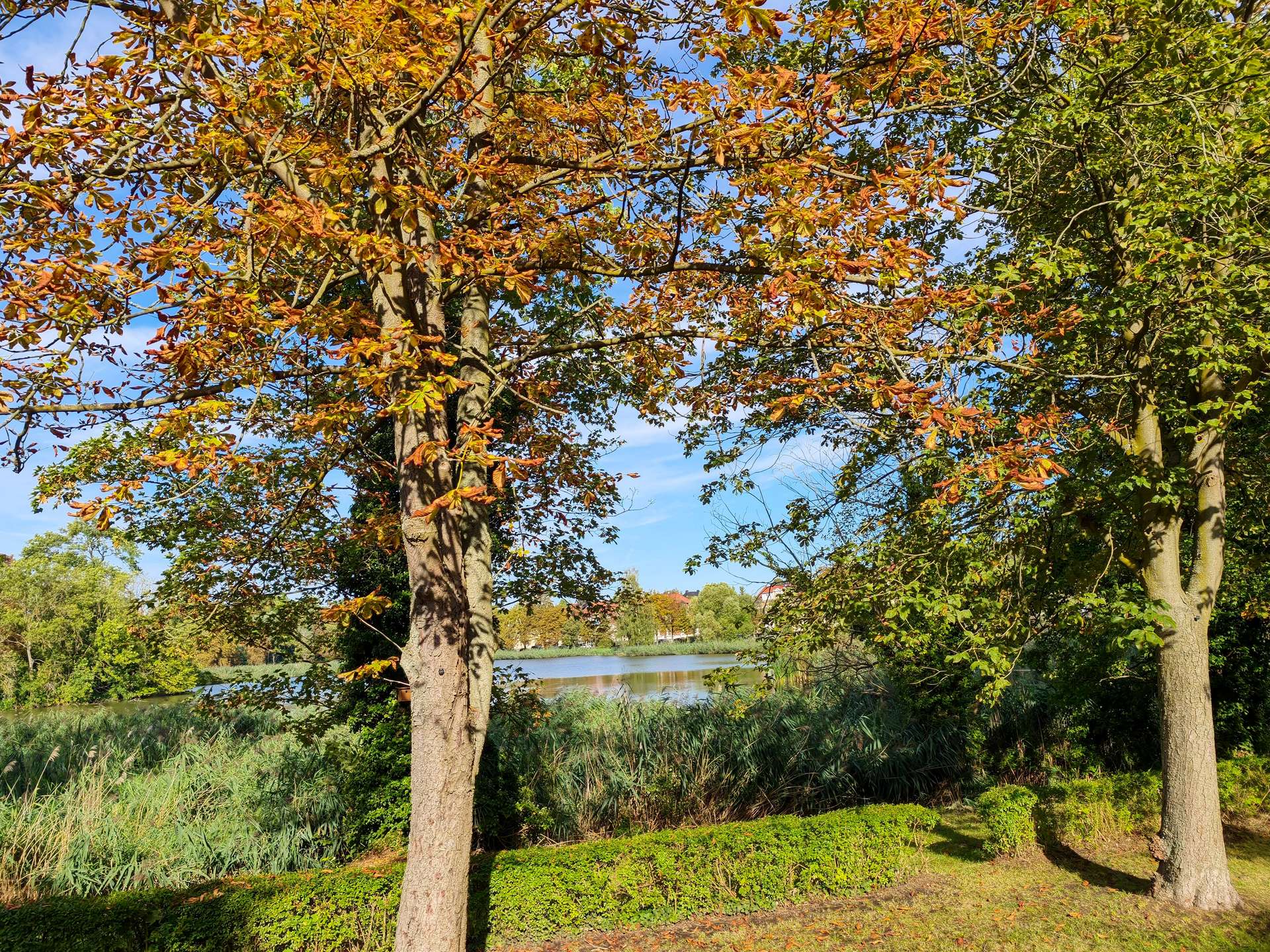 Natur genießen nebenan