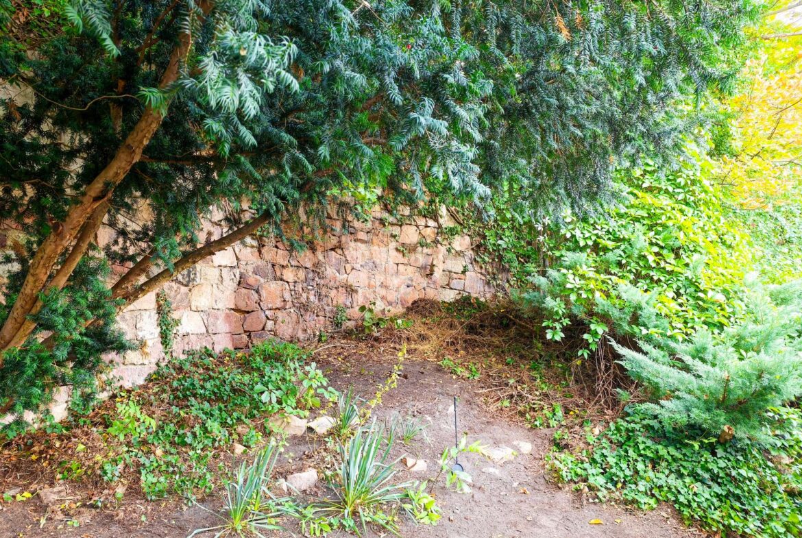 Platz für ein Saunahaus im Grünen