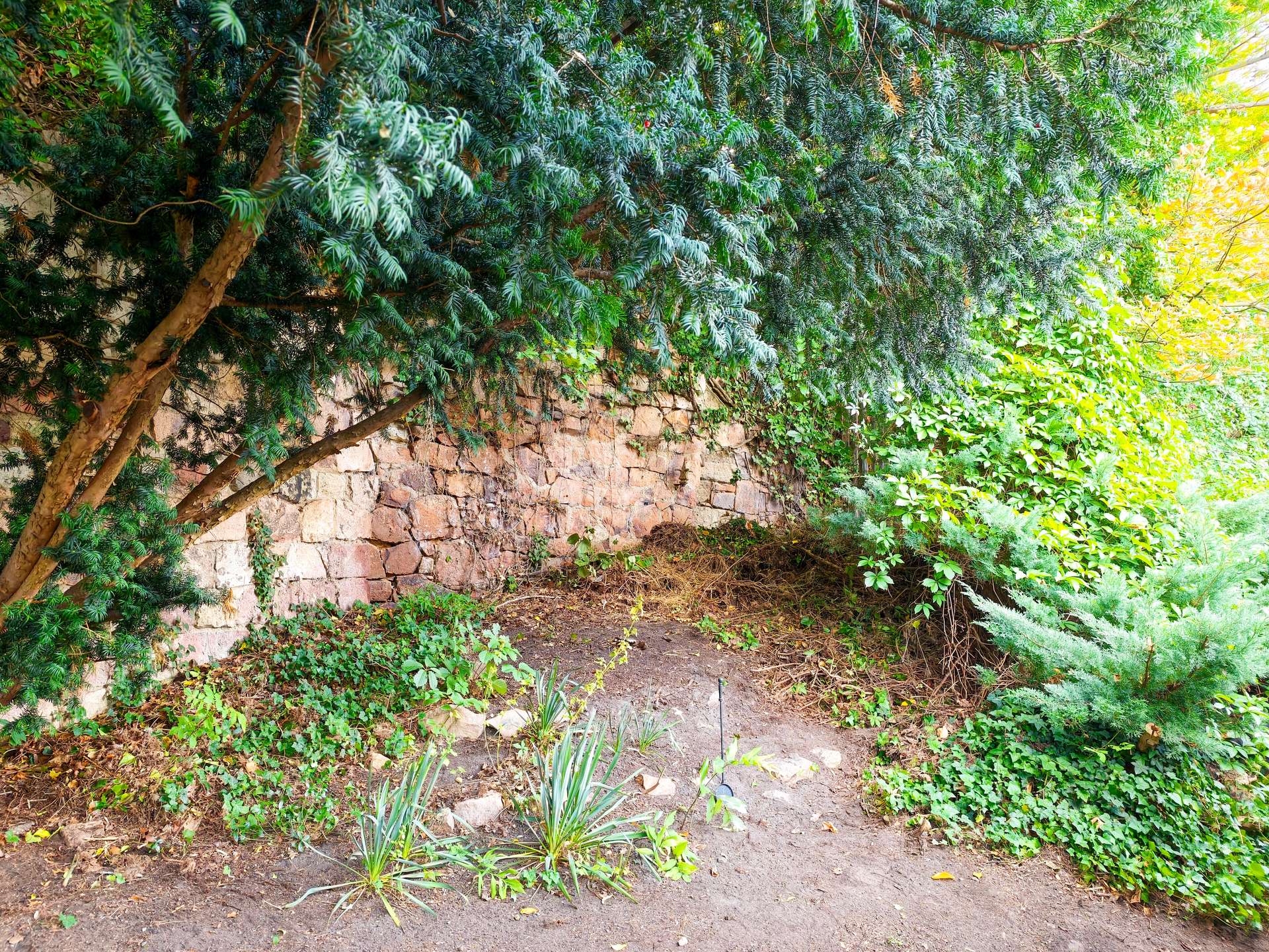 Platz für ein Saunahaus im Grünen