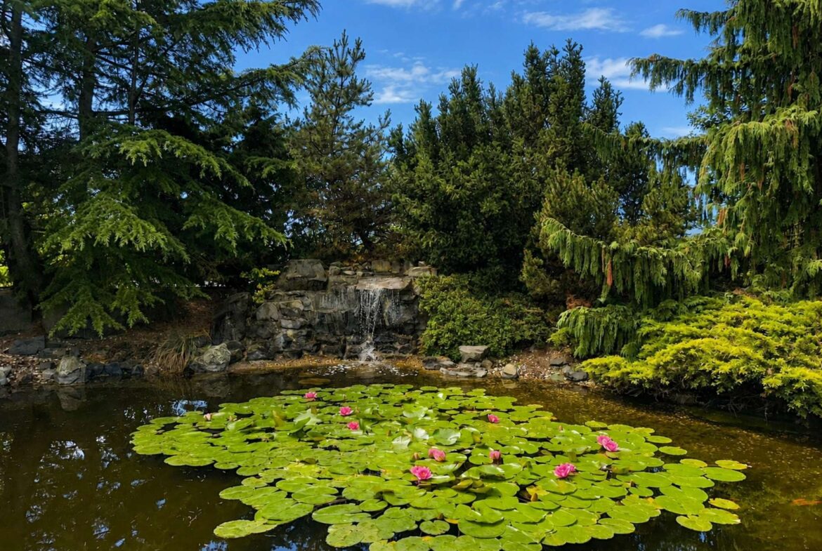 Teich mit Wasserfall