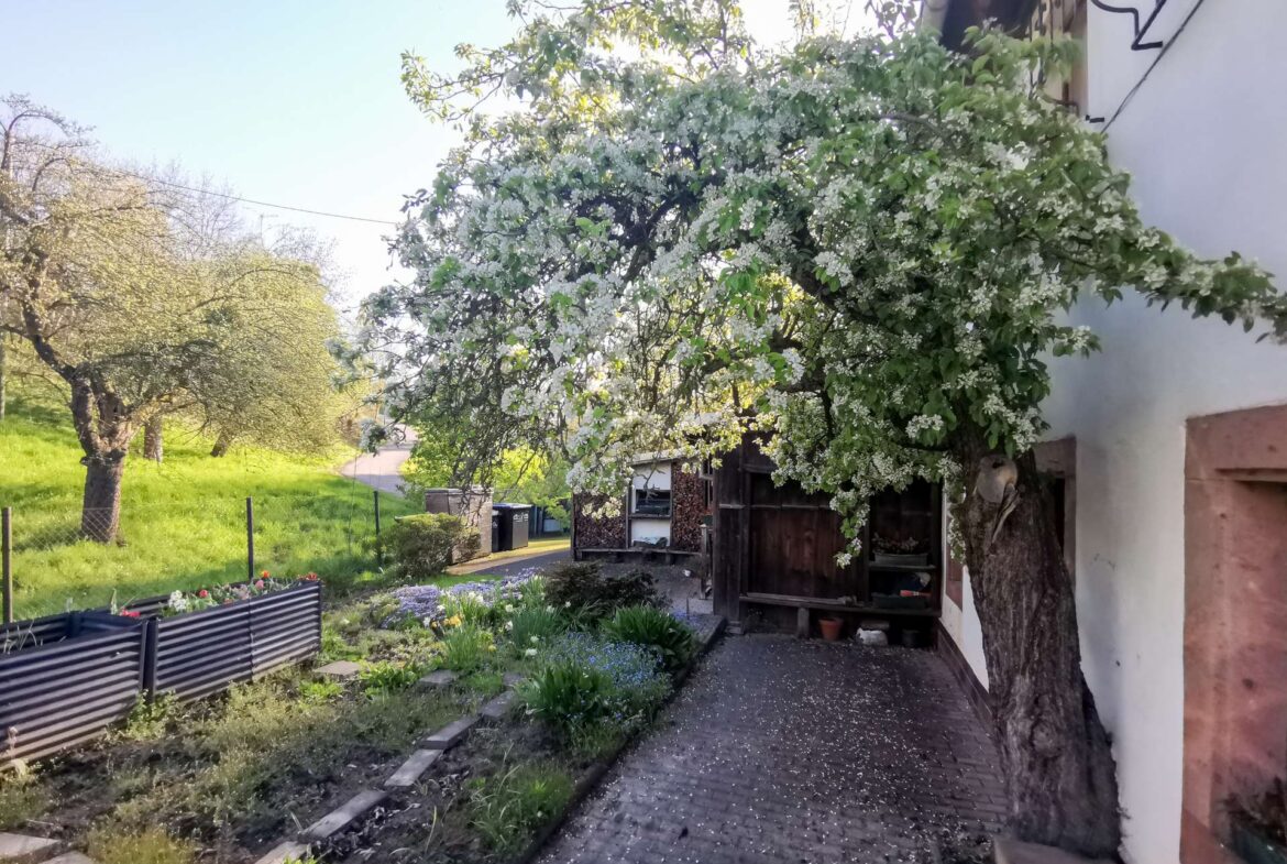 Garten