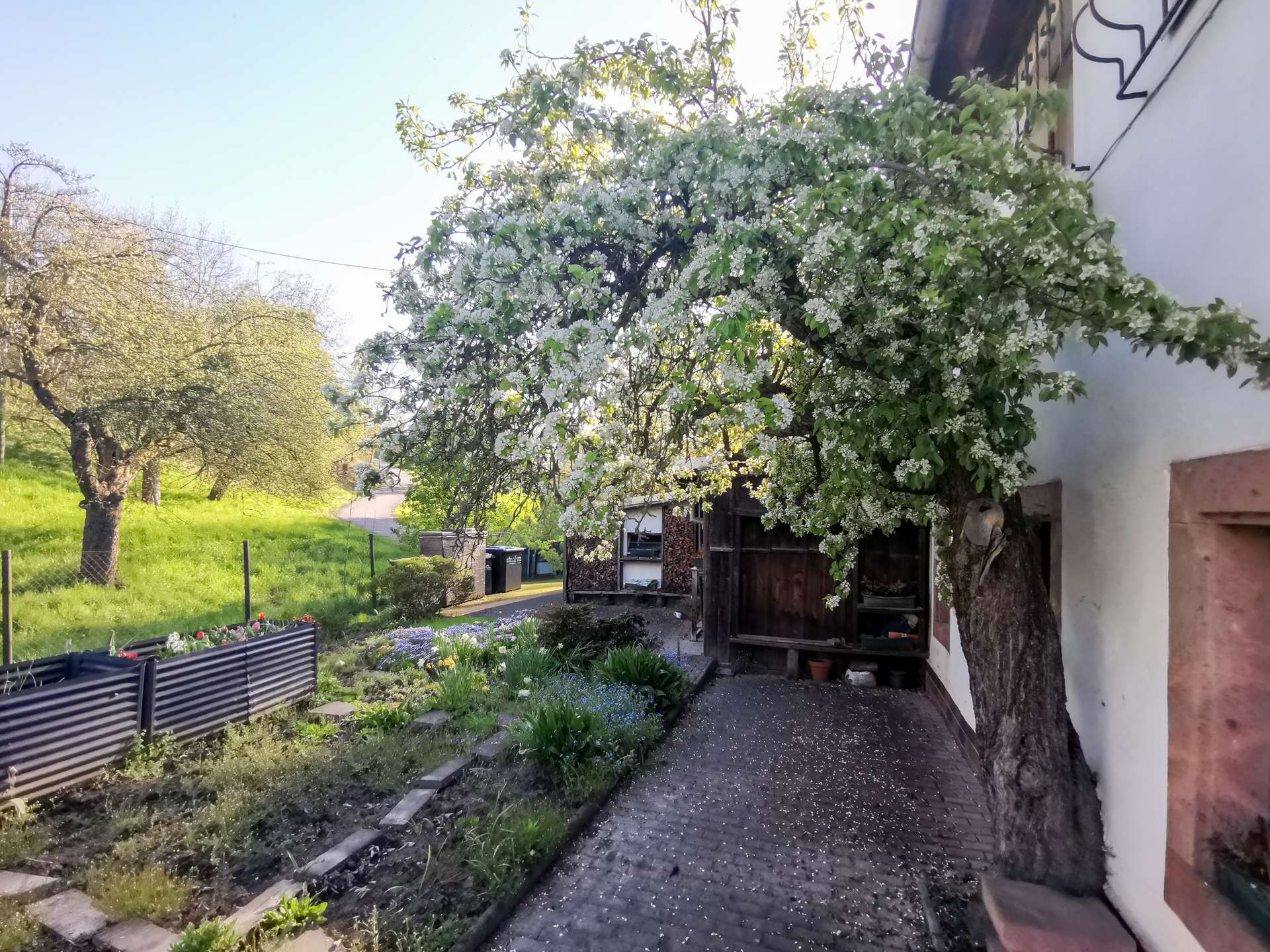 Garten