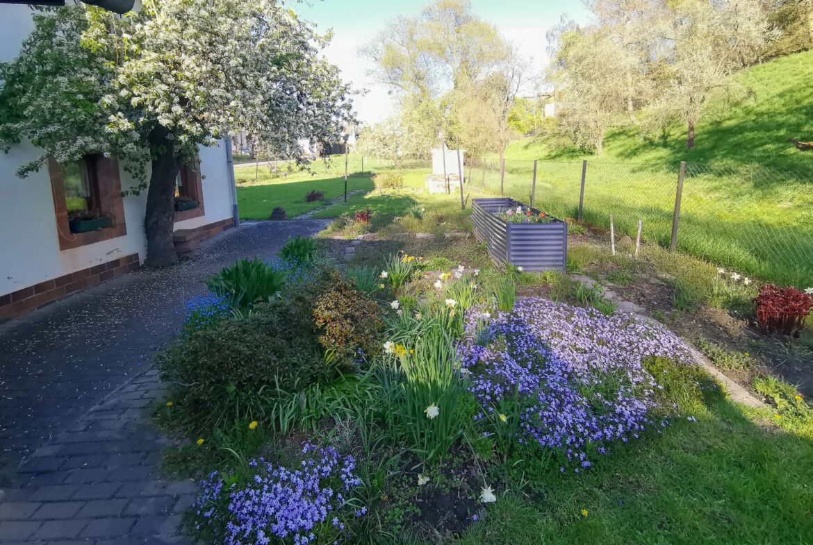 Garten