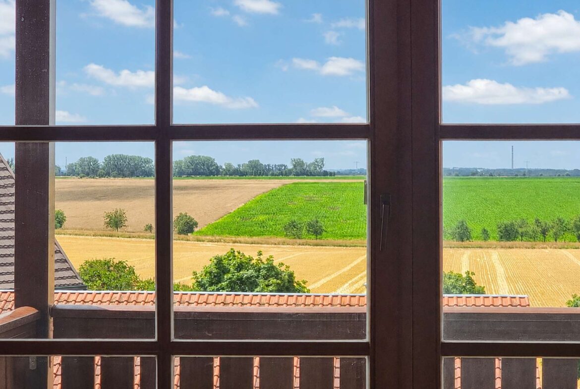 Ausblick