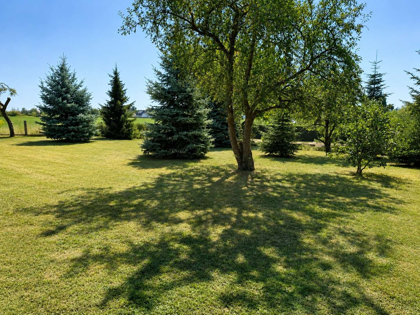 Blick in den Garten