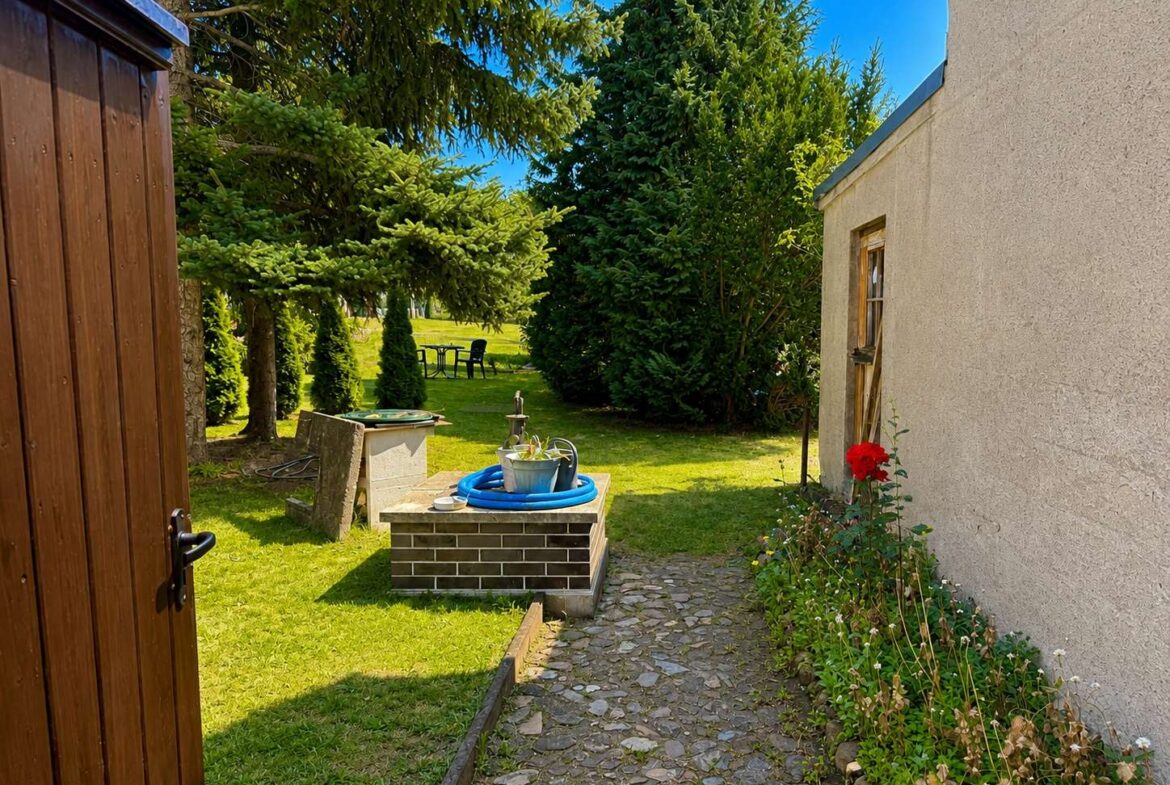 Blick in den Garten