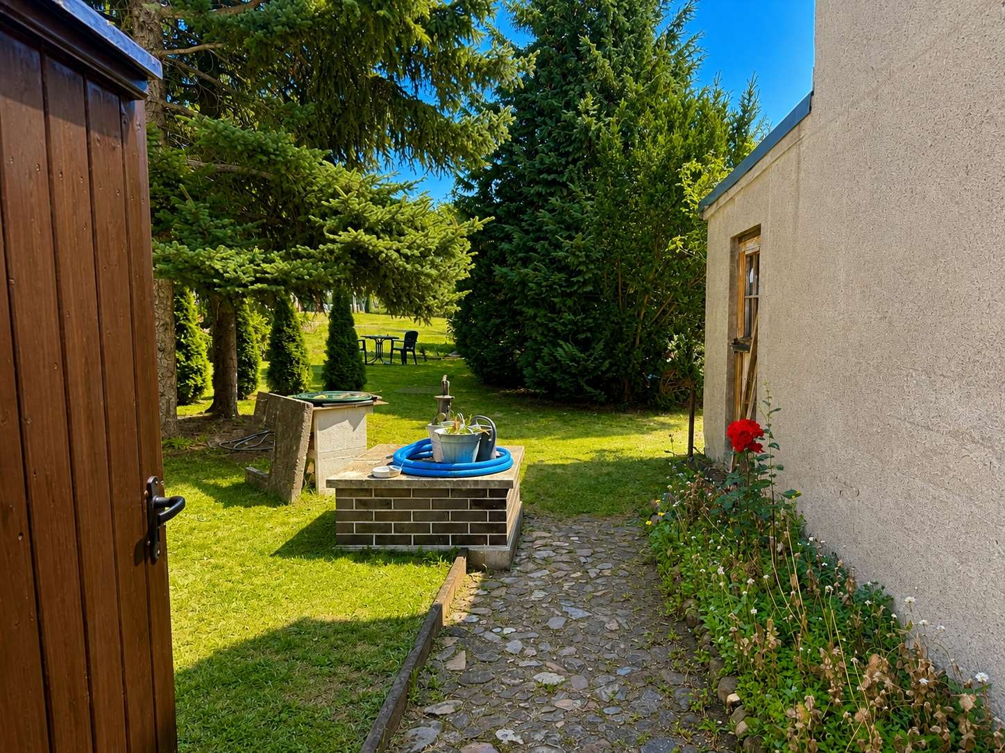 Blick in den Garten