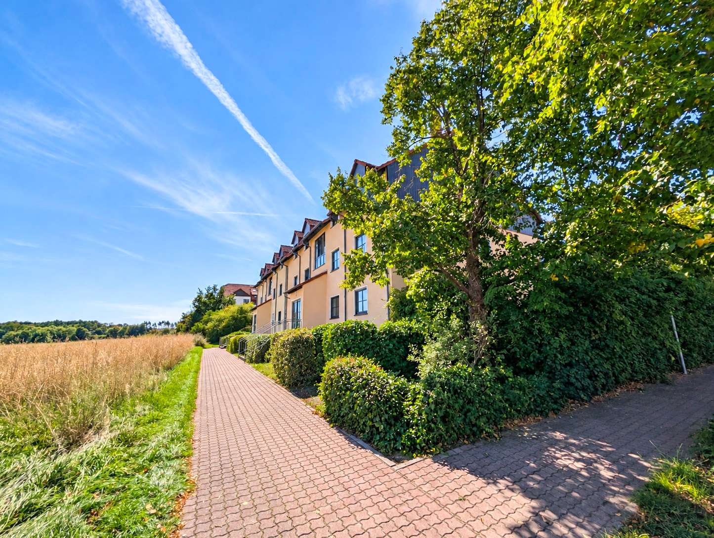 Weg vor dem Haus