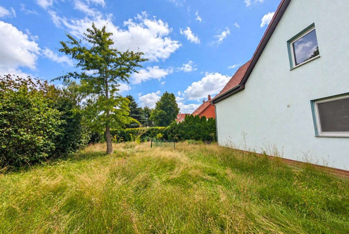 Garten hinter dem Haus