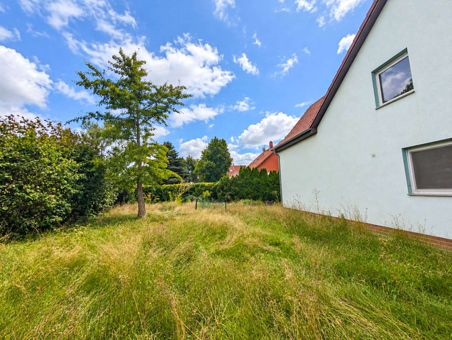 Garten hinter dem Haus