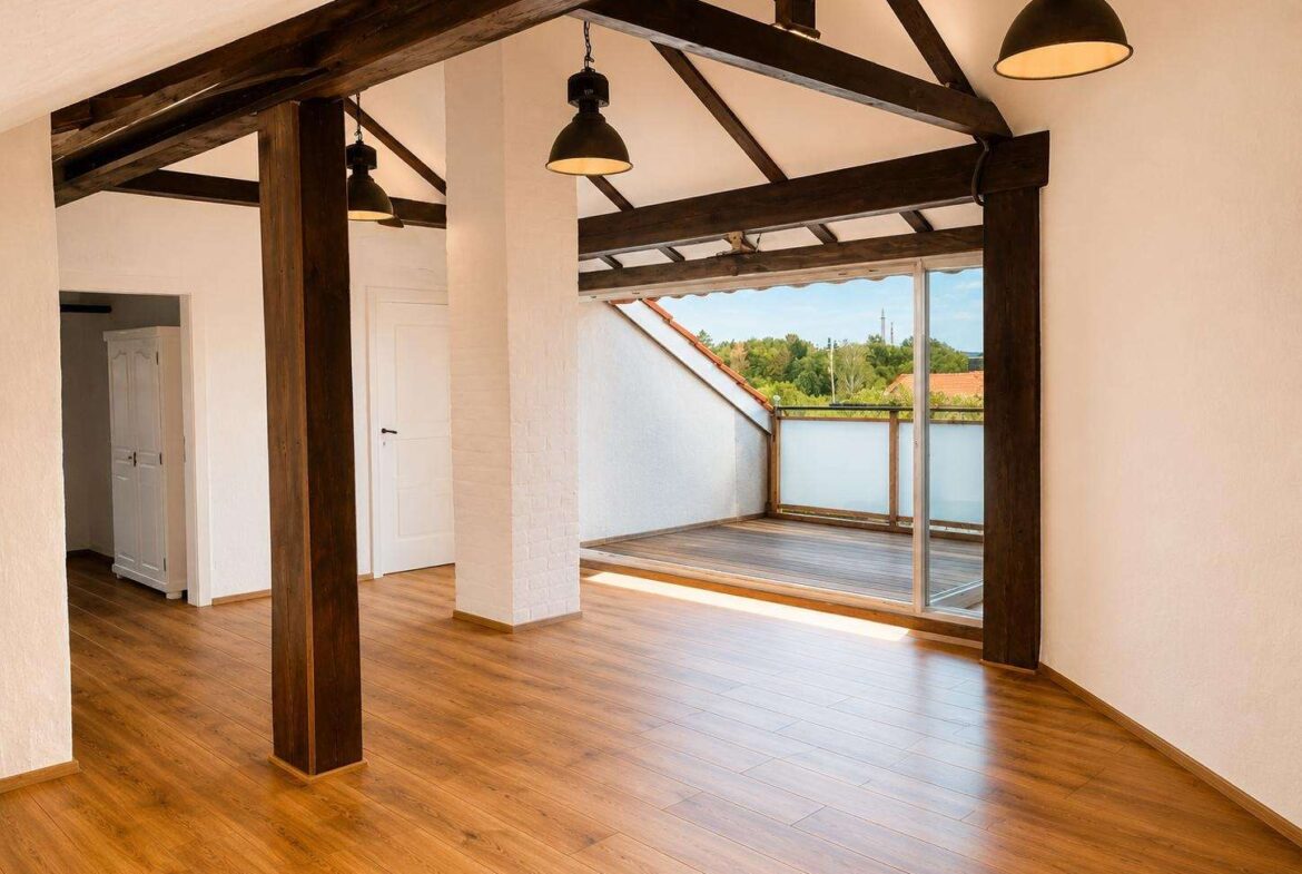 DG Zugang Dachterrasse