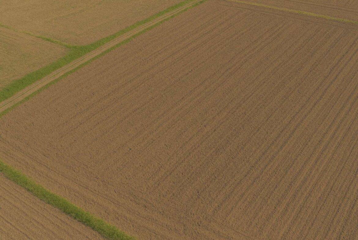 Refenrezbild Ackerland