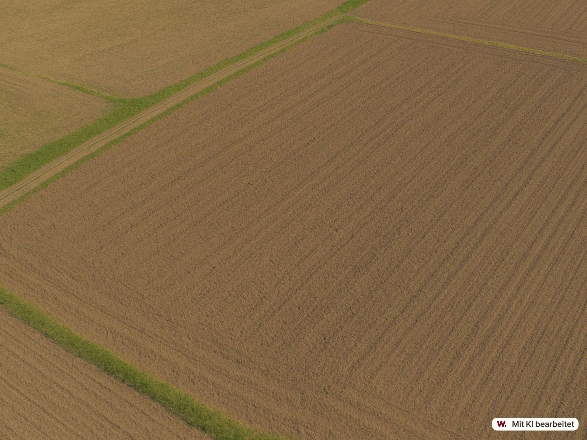 Refenrezbild Ackerland