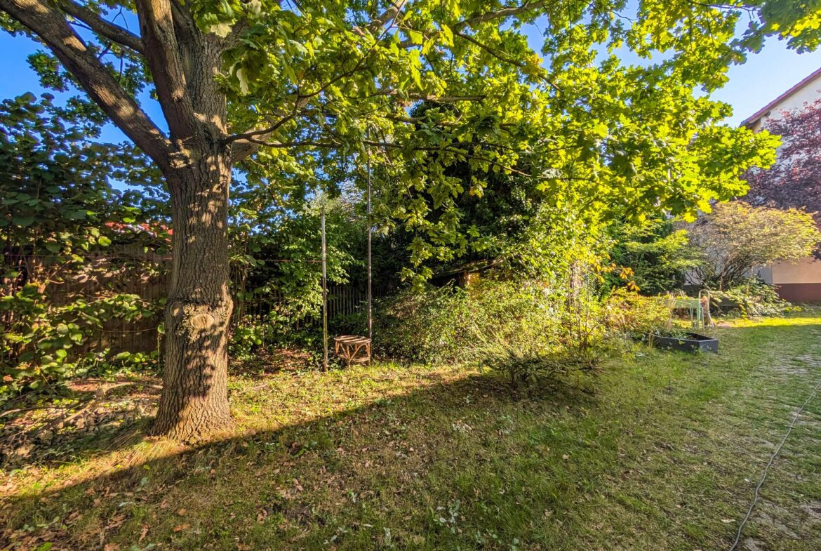 Grundstück hinter dem Haus