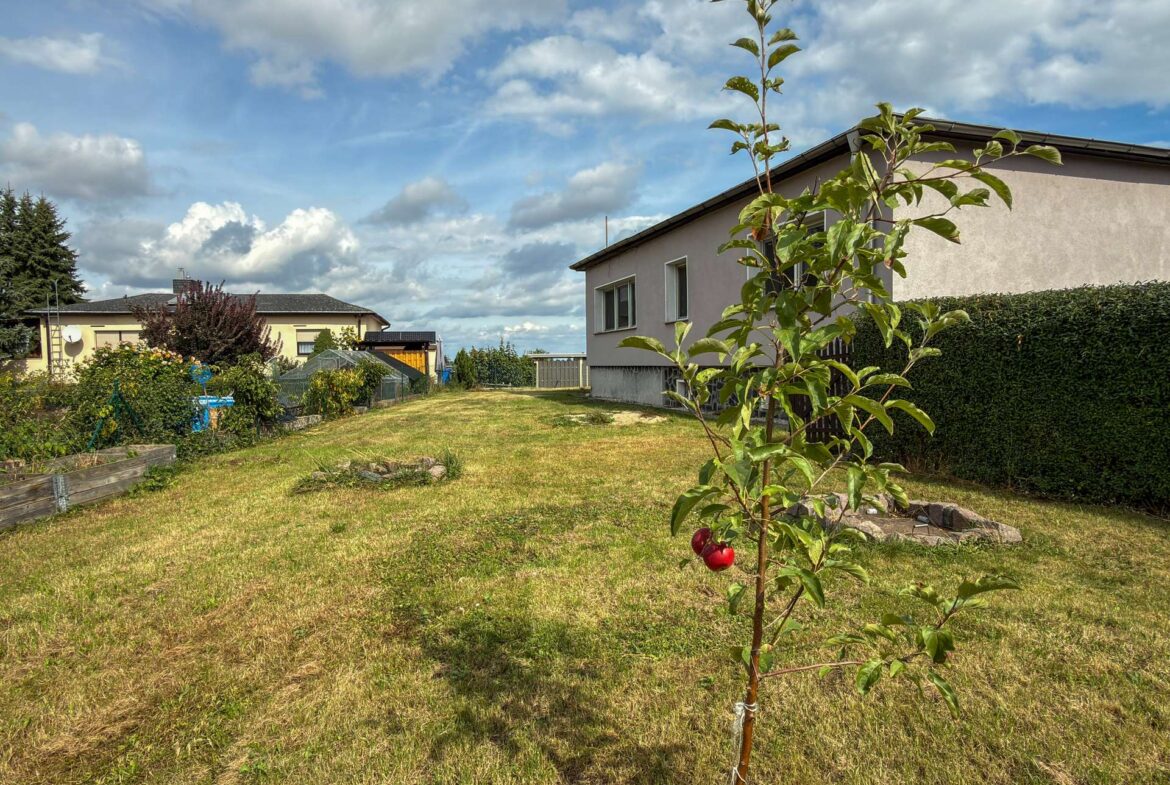 Gartenfläche mit jungem Obstbaumbestand