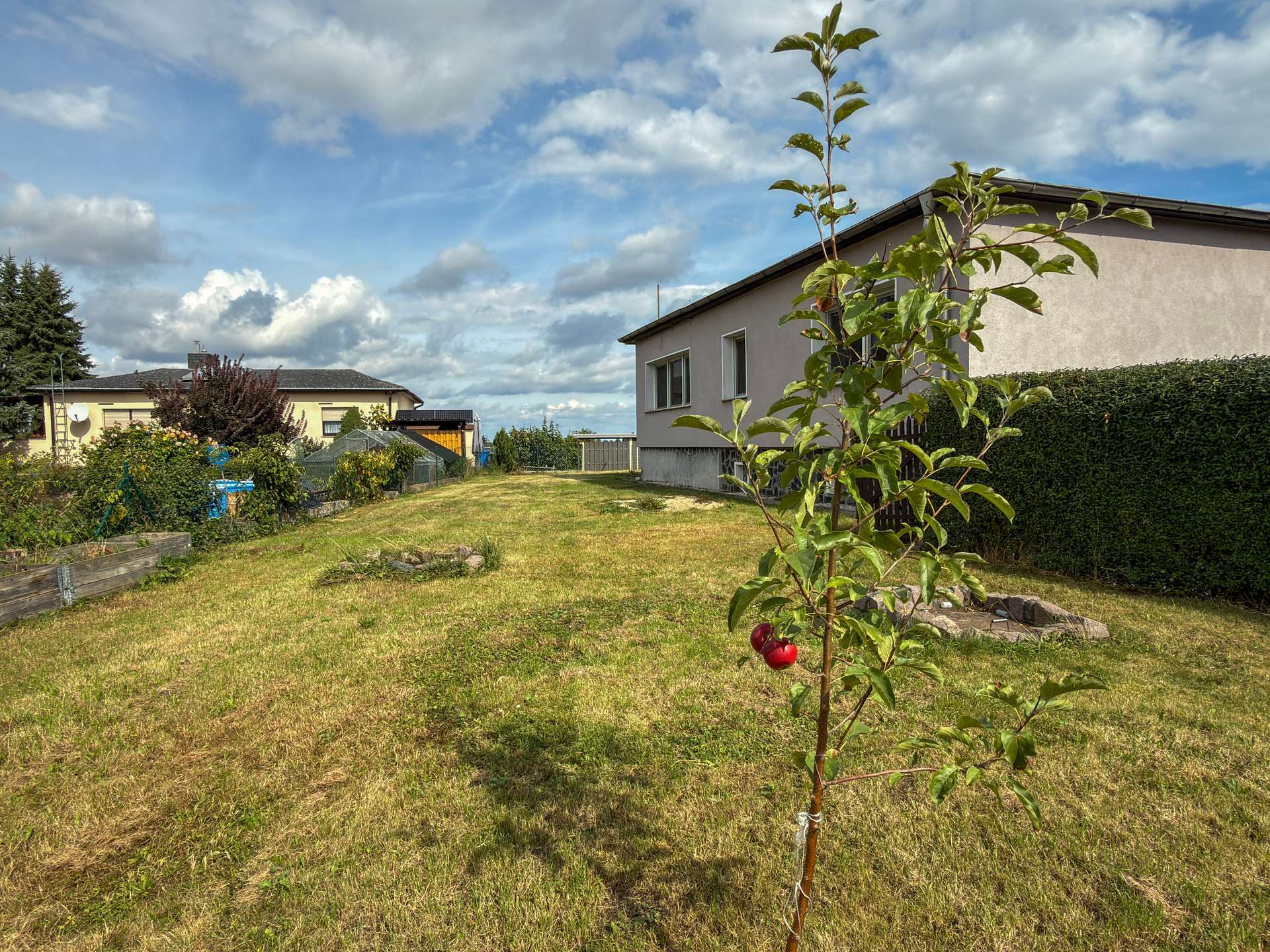 Gartenfläche mit jungem Obstbaumbestand