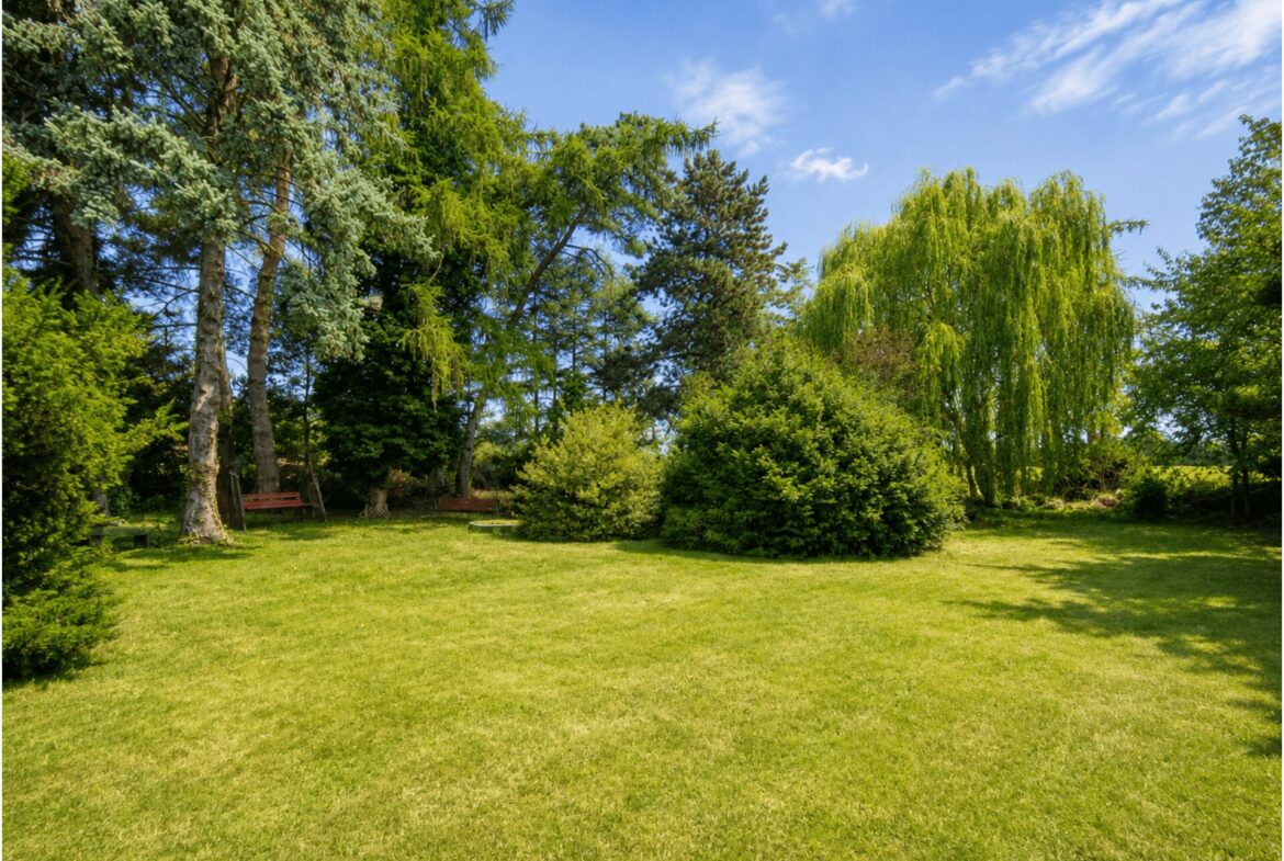 Traumhafter Garten
