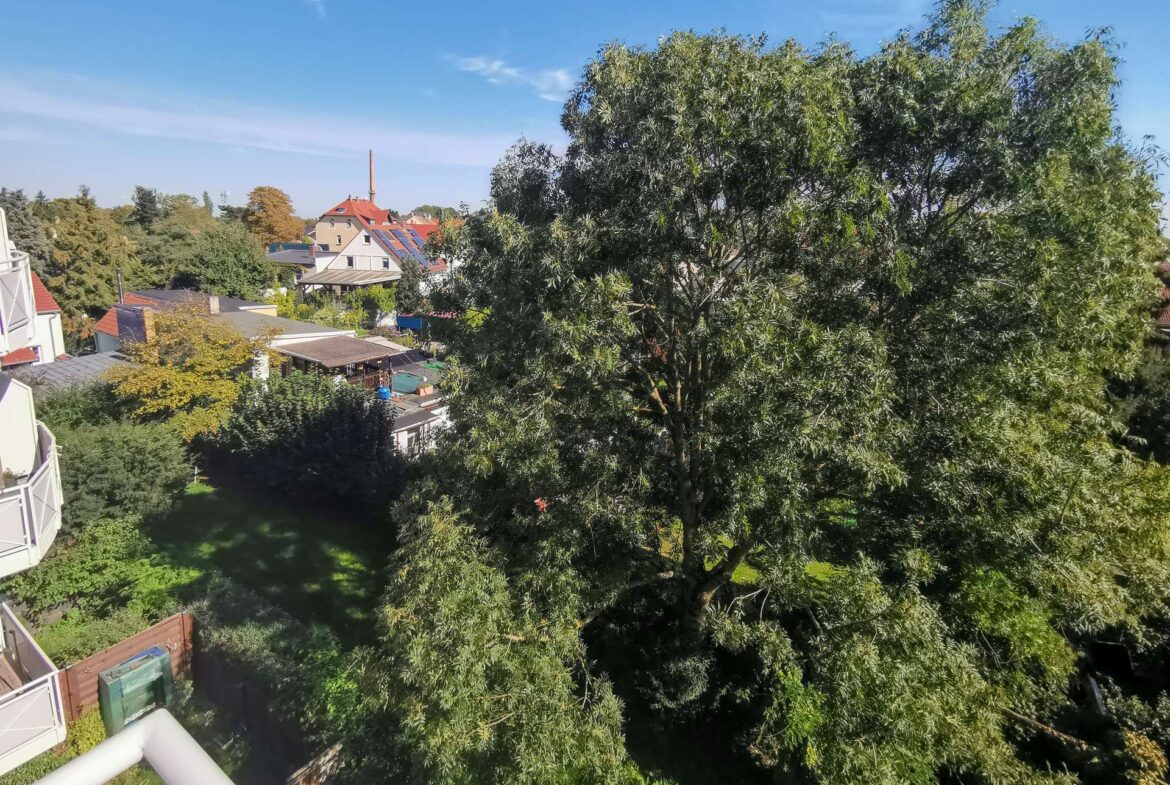 Blick vom Balkon
