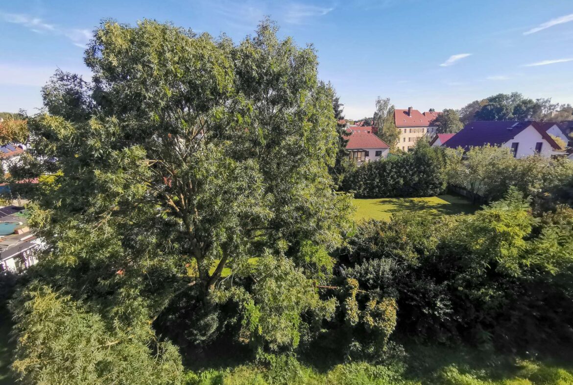 Blick vom Balkon
