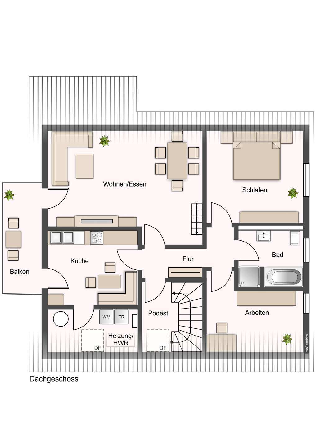 Grundriss DG (1)
